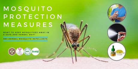 Dengue Fever Causes, Symptoms, and Prevention