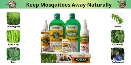5 Hacks To Keep Mosquitoes At Bay This Summer