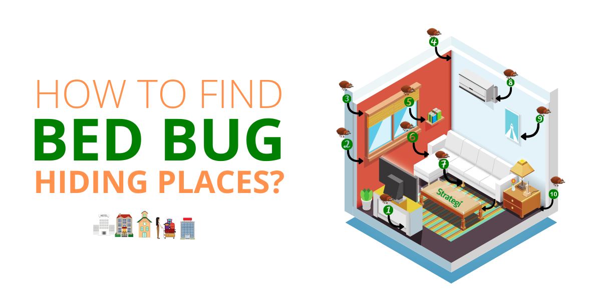 What countries have the worst bed bug problems?