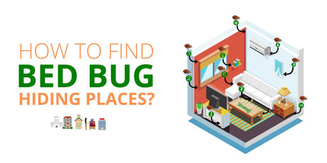 What countries have the worst bed bug problems?