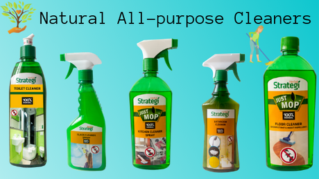 Types of cleaning agents used in housekeeping