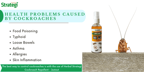 Various Health Problems Caused By Cockroaches