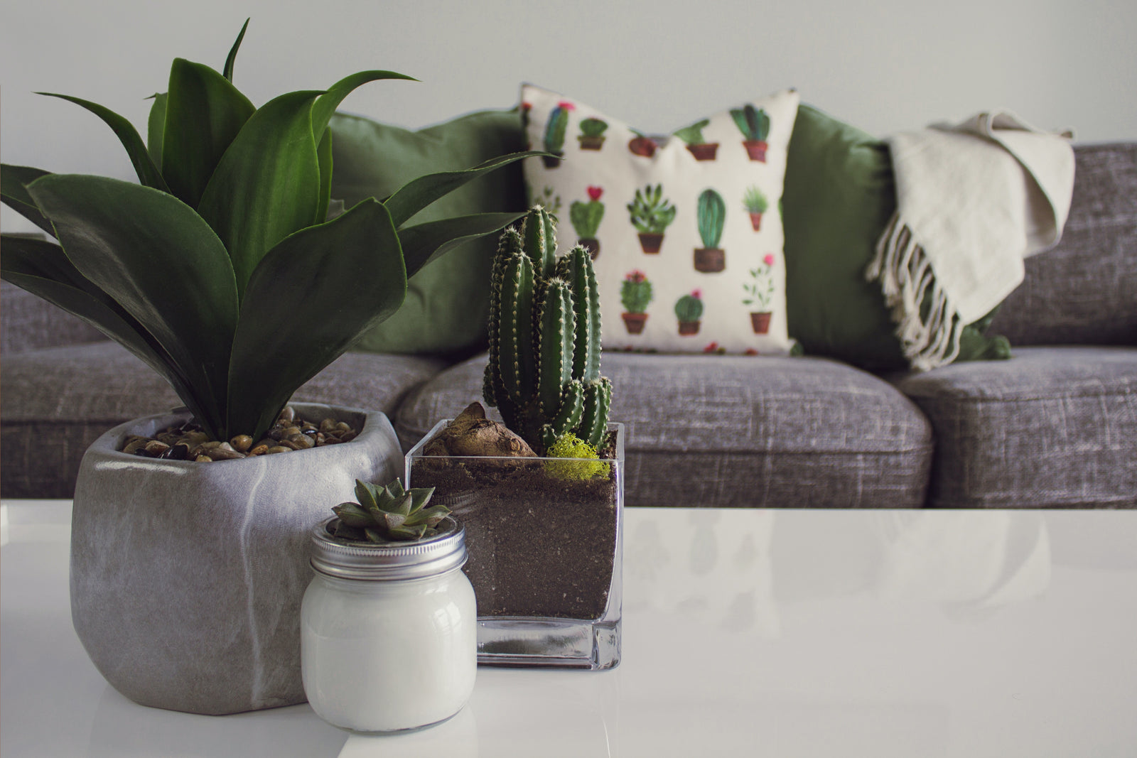 Detox Tips for Home