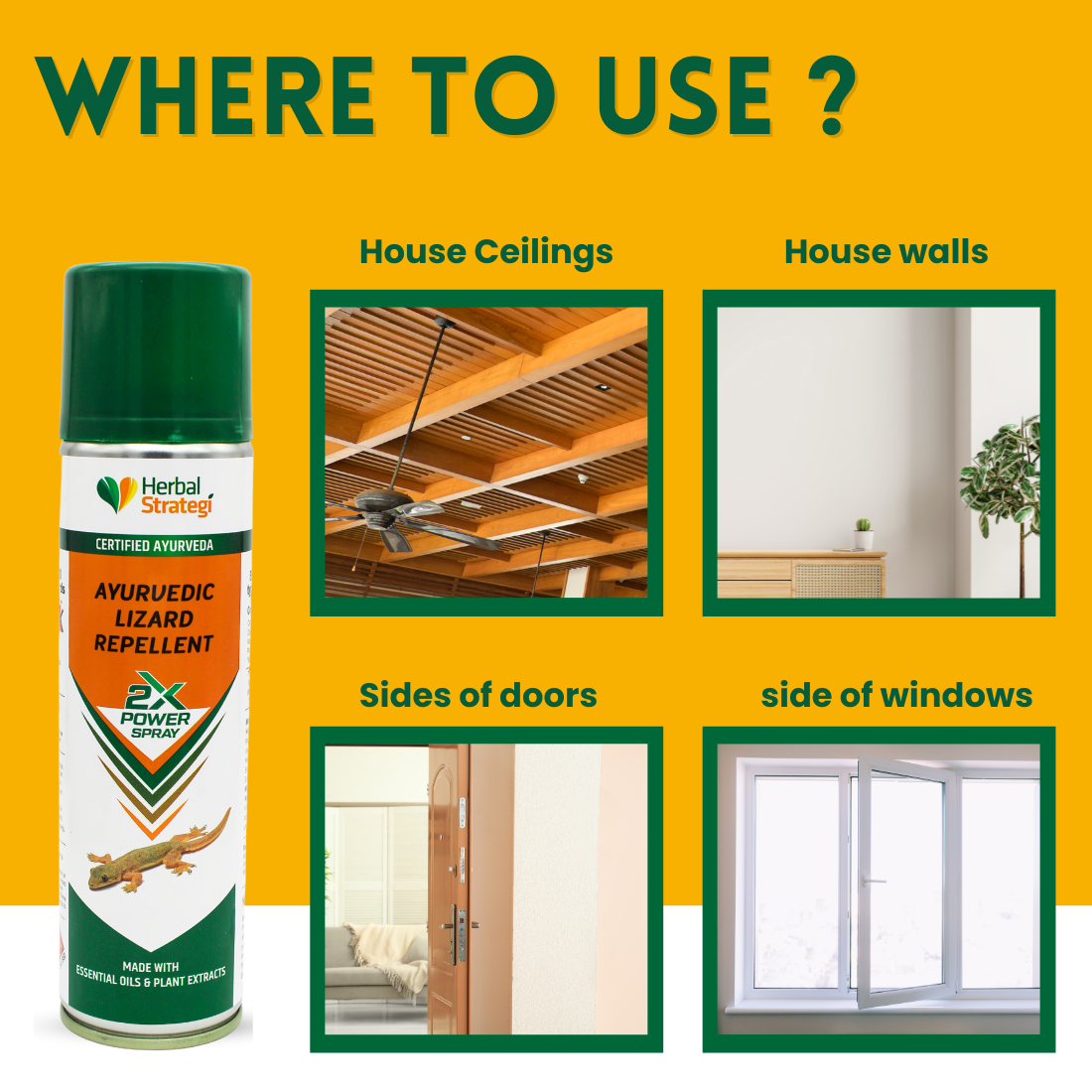 Ayurvedic Lizard Repellent – 2X Power Spray