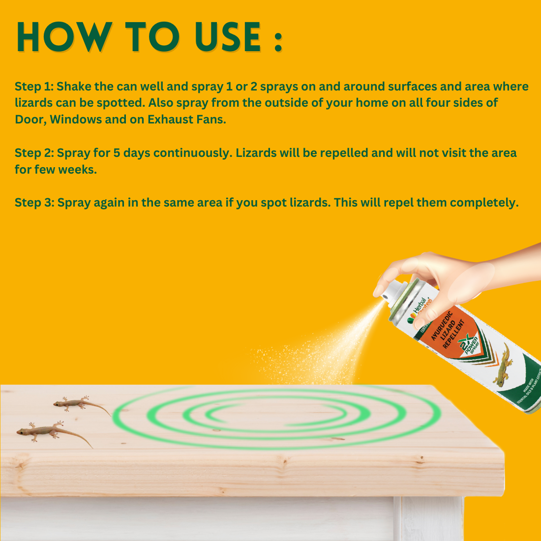 Ayurvedic Lizard Repellent – 2X Power Spray