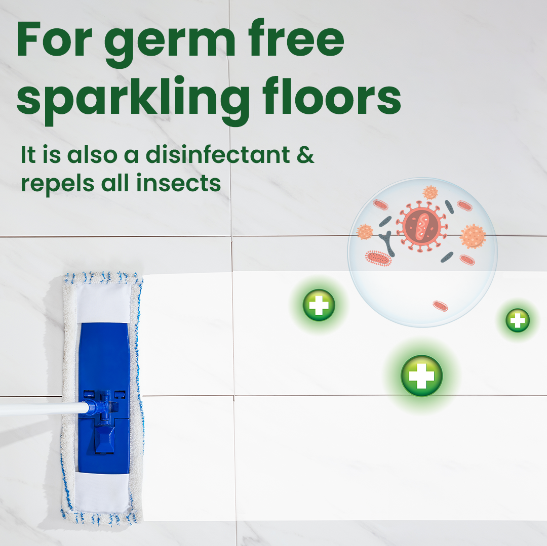 Herbal Disinfectant, Floor cleaner & Insect Repellent (Pack of 2 x 500 ml )