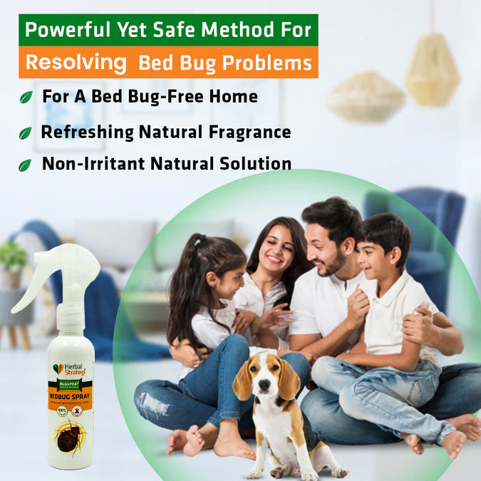 Herbal bed bugs spray | Non - toxic | plant-based | 100% Herbal