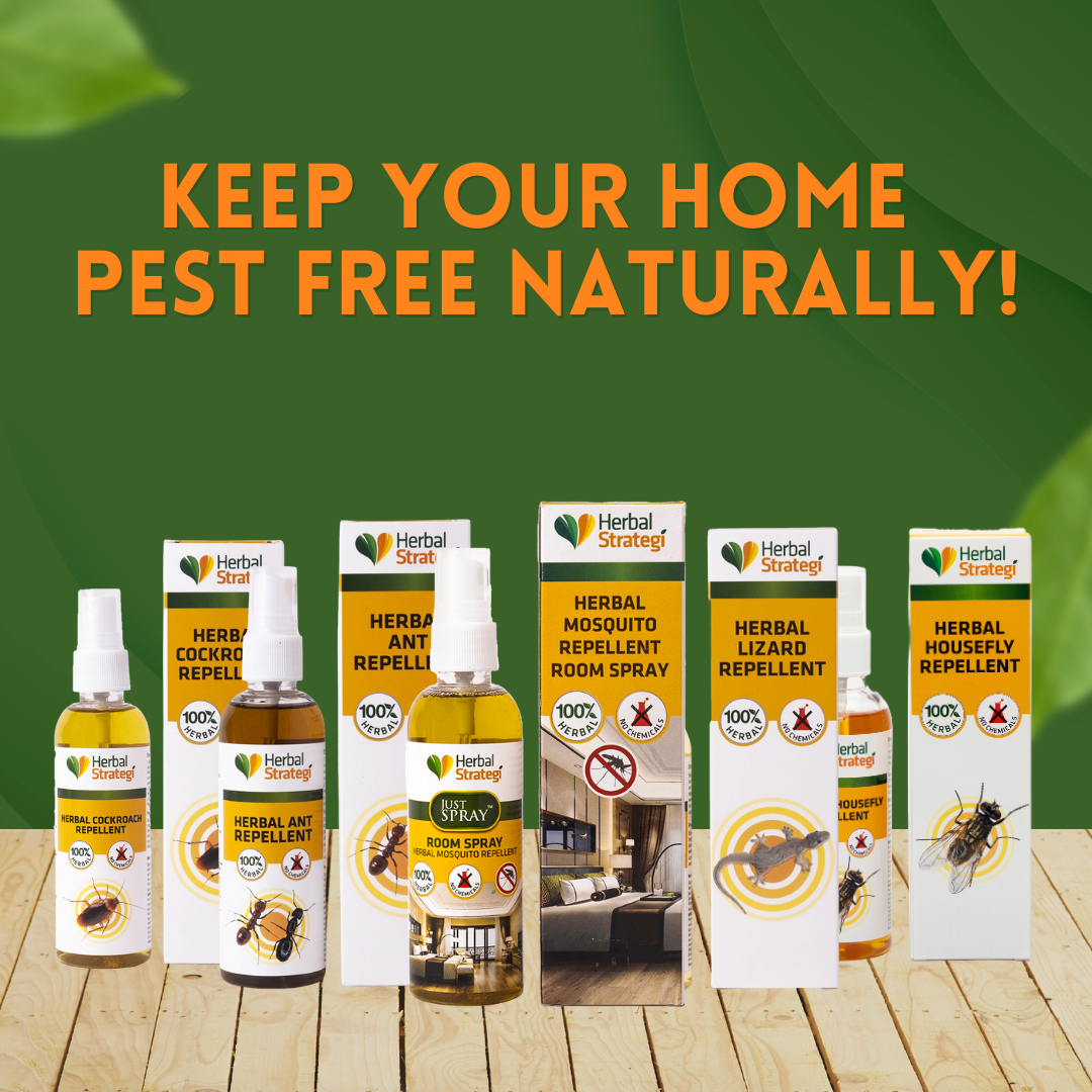 Herbal Mosquito Repellent Room Spray | Non - toxic | plant-based | 100% Herbal