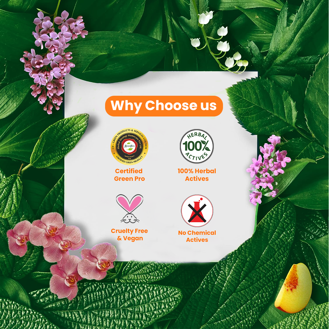 Herbal Disinfectant, Floor cleaner & Insect Repellent (Pack of 2 x 500 ml )