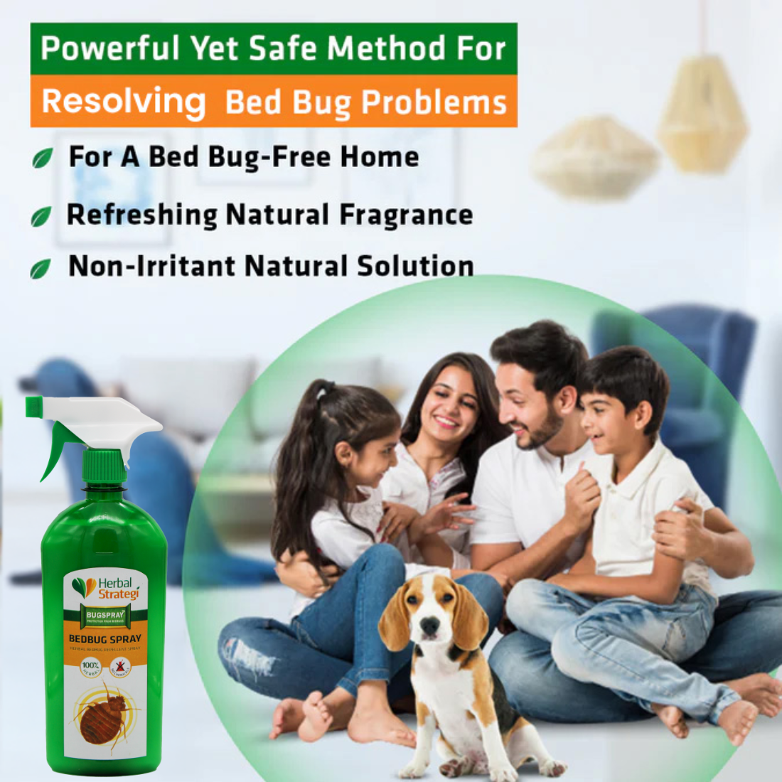 Herbal bed bugs spray | Non - toxic | plant-based | 100% Herbal