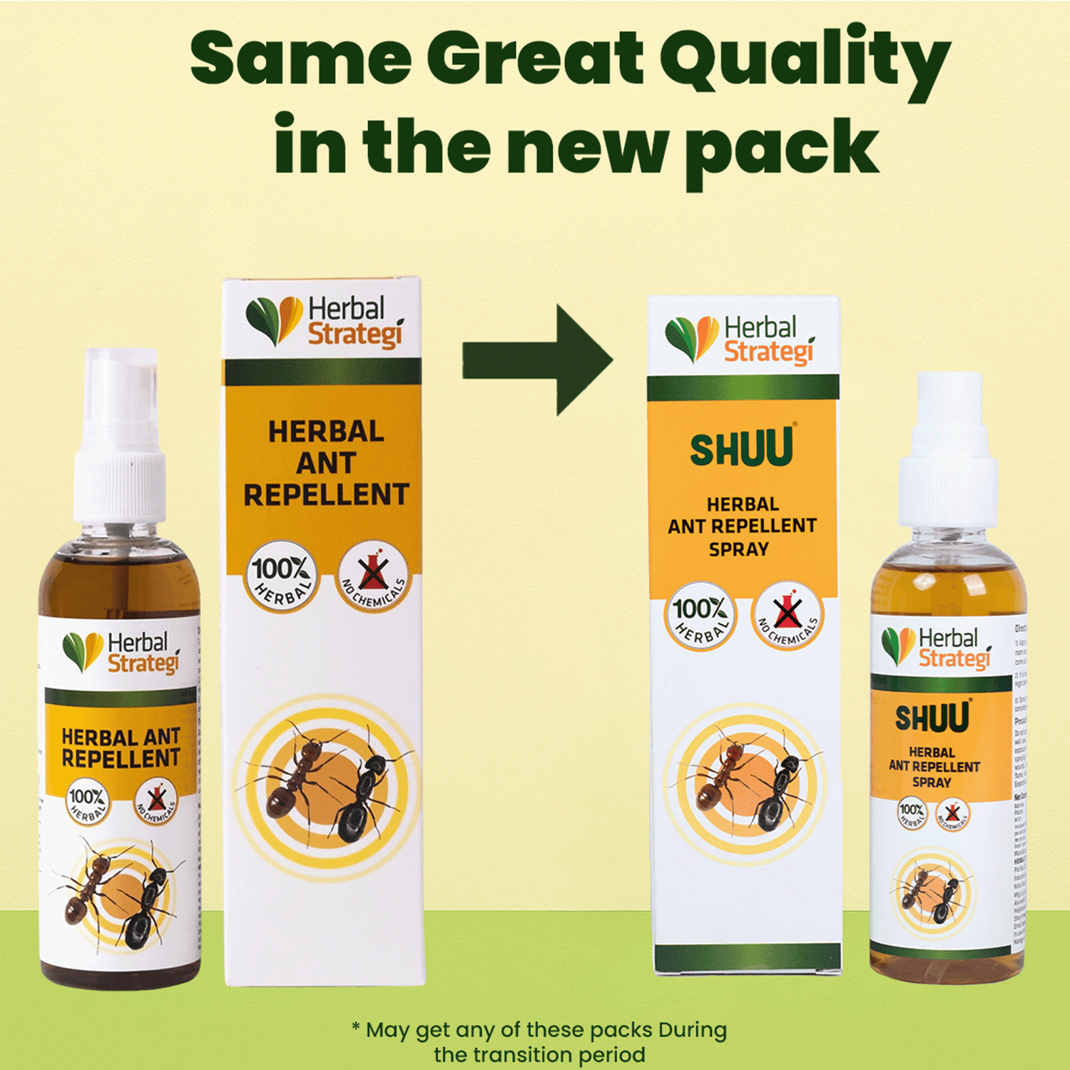 Herbal Ant Repellent Spray | Non - toxic | plant-based | 100% Herbal
