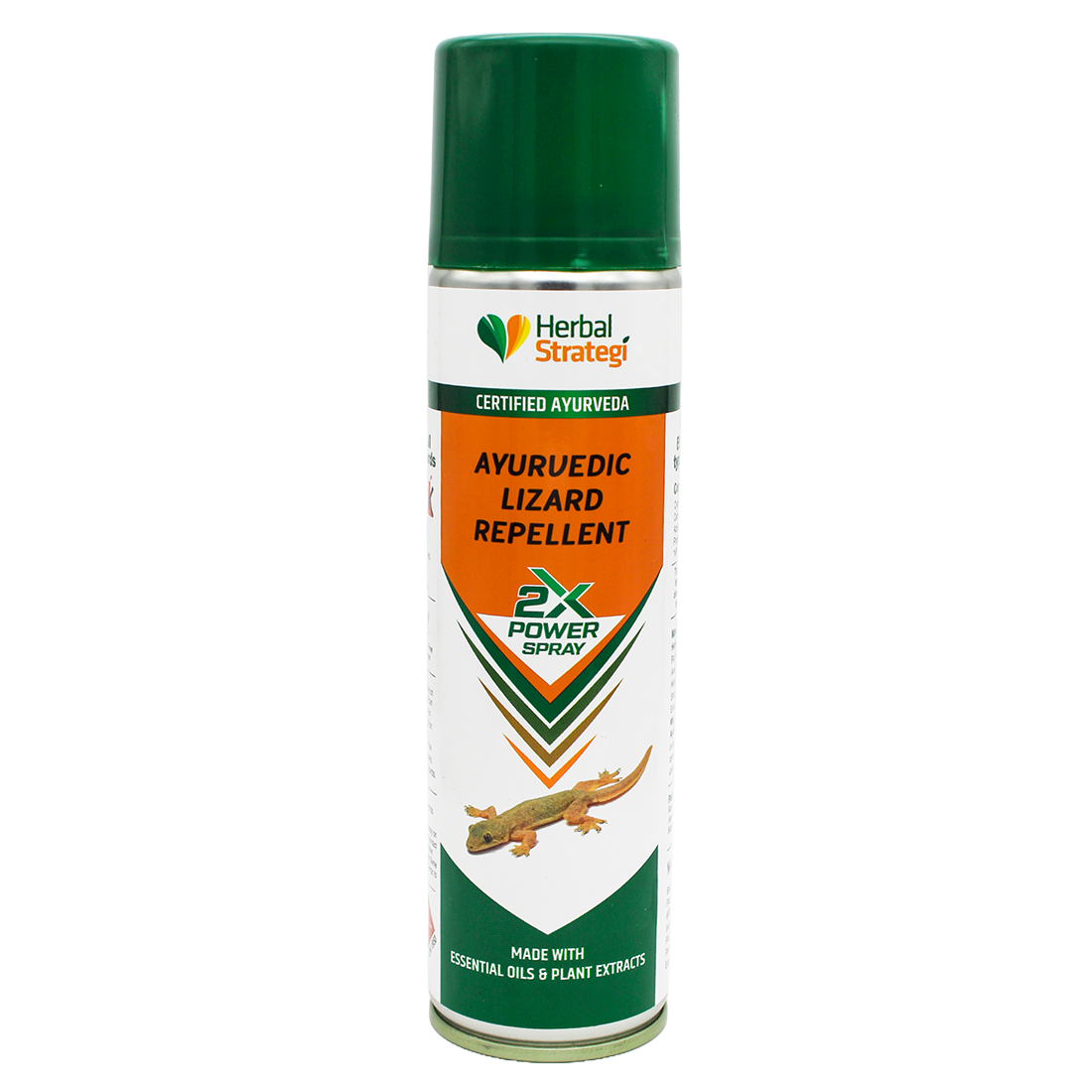 Ayurvedic Lizard Repellent – 2X Power Spray