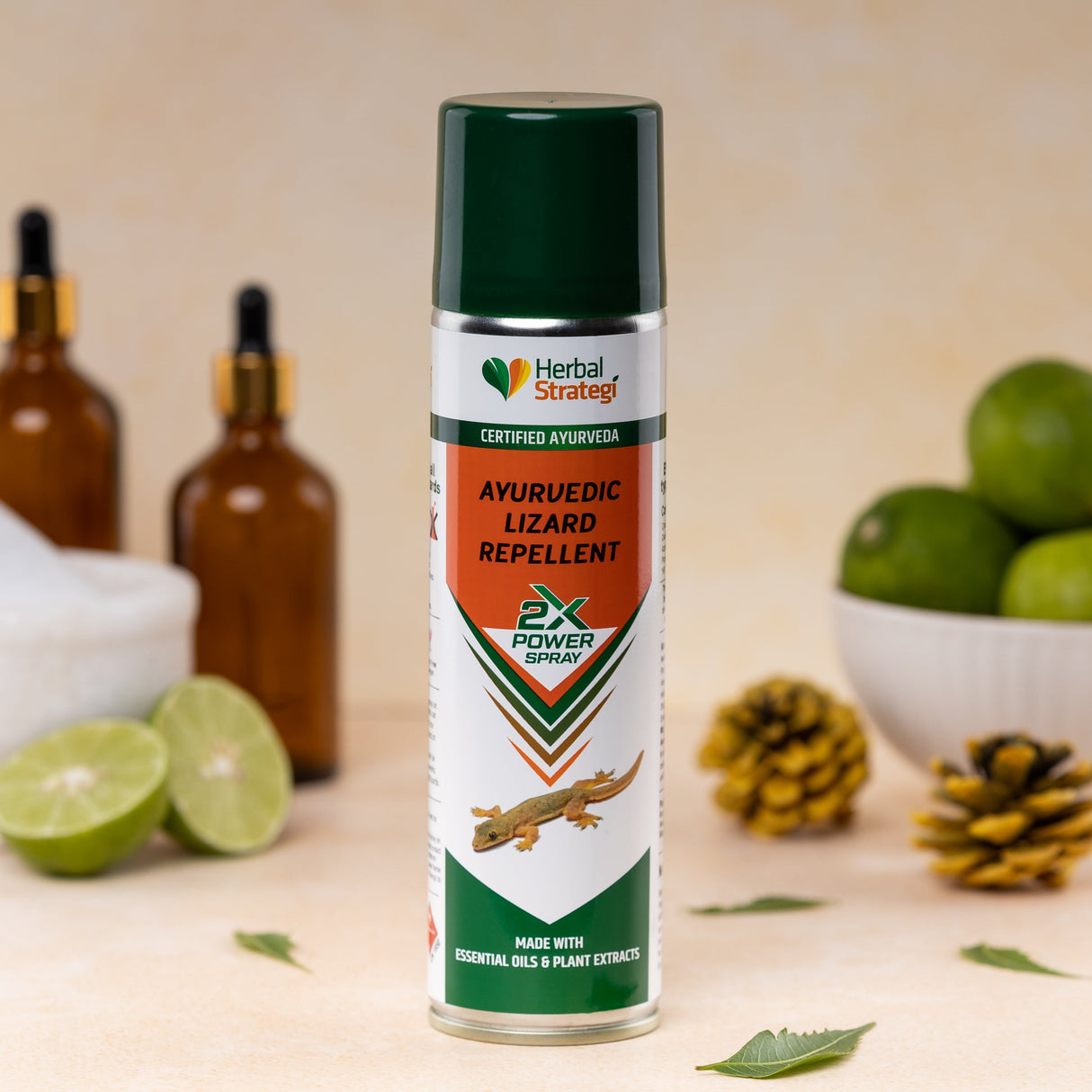 Ayurvedic Lizard Repellent – 2X Power Spray