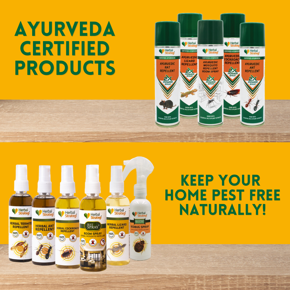 Ayurvedic Lizard Repellent – 2X Power Spray