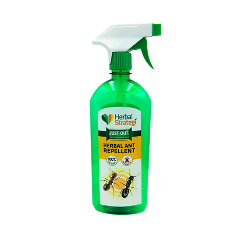 ant killer