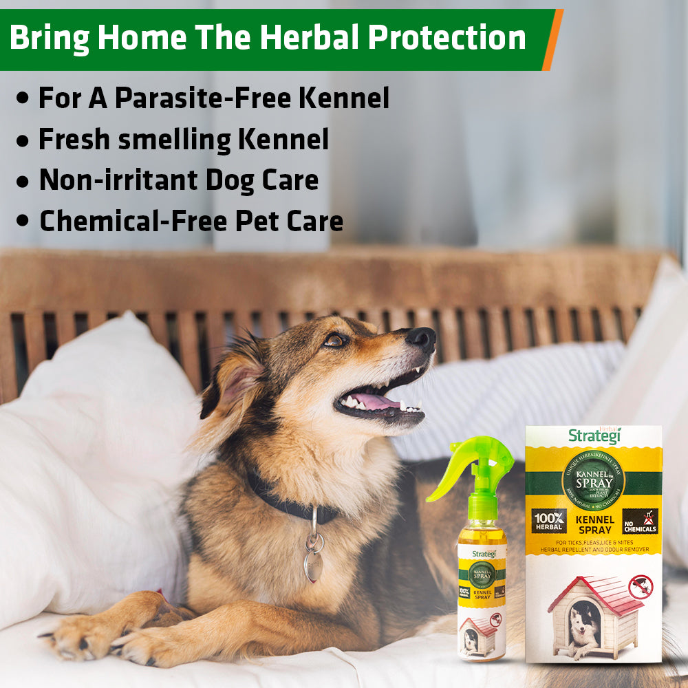 Herbal Ticks, Fleas, Lice, and Mites Spray for Kennel | Product Size: 100 ml, 500 ml