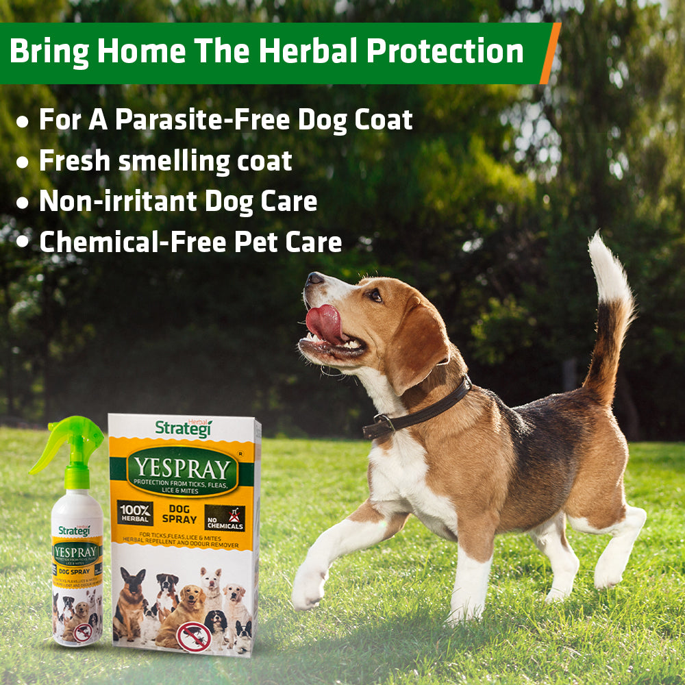 Herbal Ticks, Fleas, Lice and Mites Spray for Dogs | Product Size: 100 ml, 200 ml, 500 ml