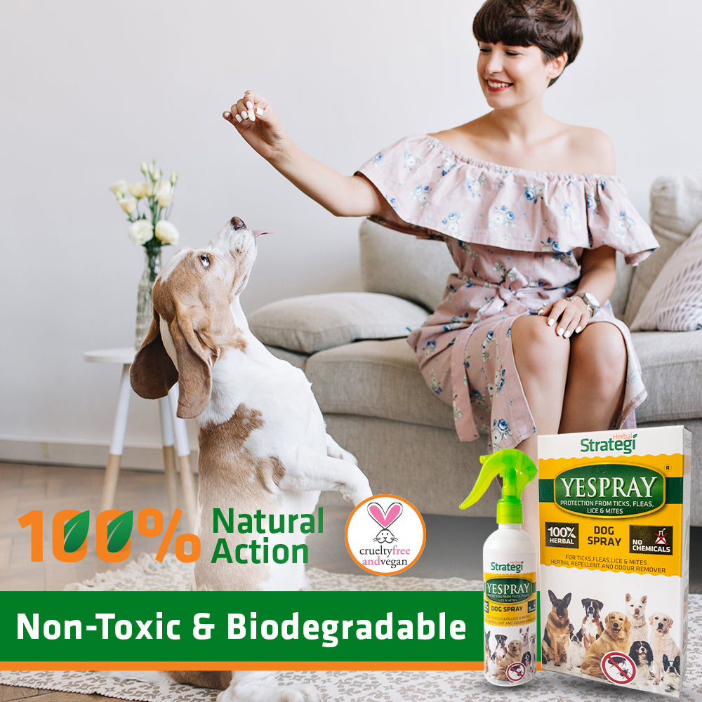 Herbal Ticks, Fleas, Lice and Mites Spray for Dogs | Product Size: 100 ml, 200 ml, 500 ml