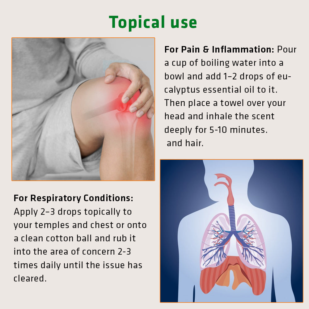 Herbal Eucalyptus Essential Oil - 15ml