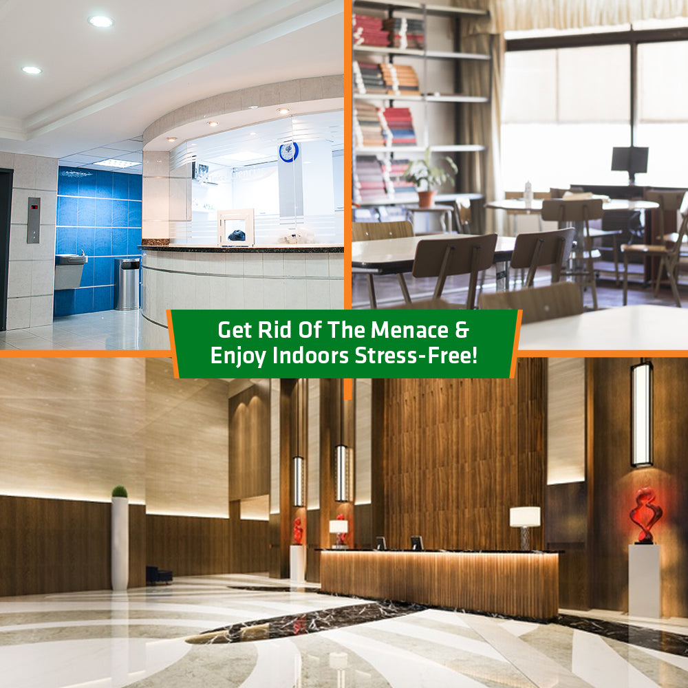 Herbal Indoor Cold Fogging Solution For Mosquito | Product Size: 1 ltrs, 5 ltrs, 1 ltr+machine