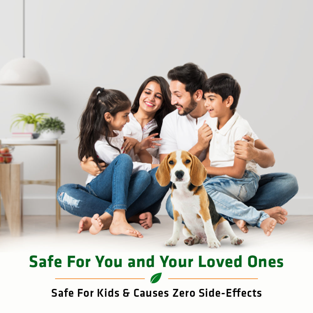 Herbal Aromatic Vetiver Incense Sticks | 20 Sticks Per Pack