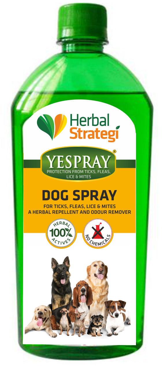 Herbal Ticks, Fleas, Lice and Mites Spray for Dogs | Product Size: 100 ml, 200 ml, 500 ml