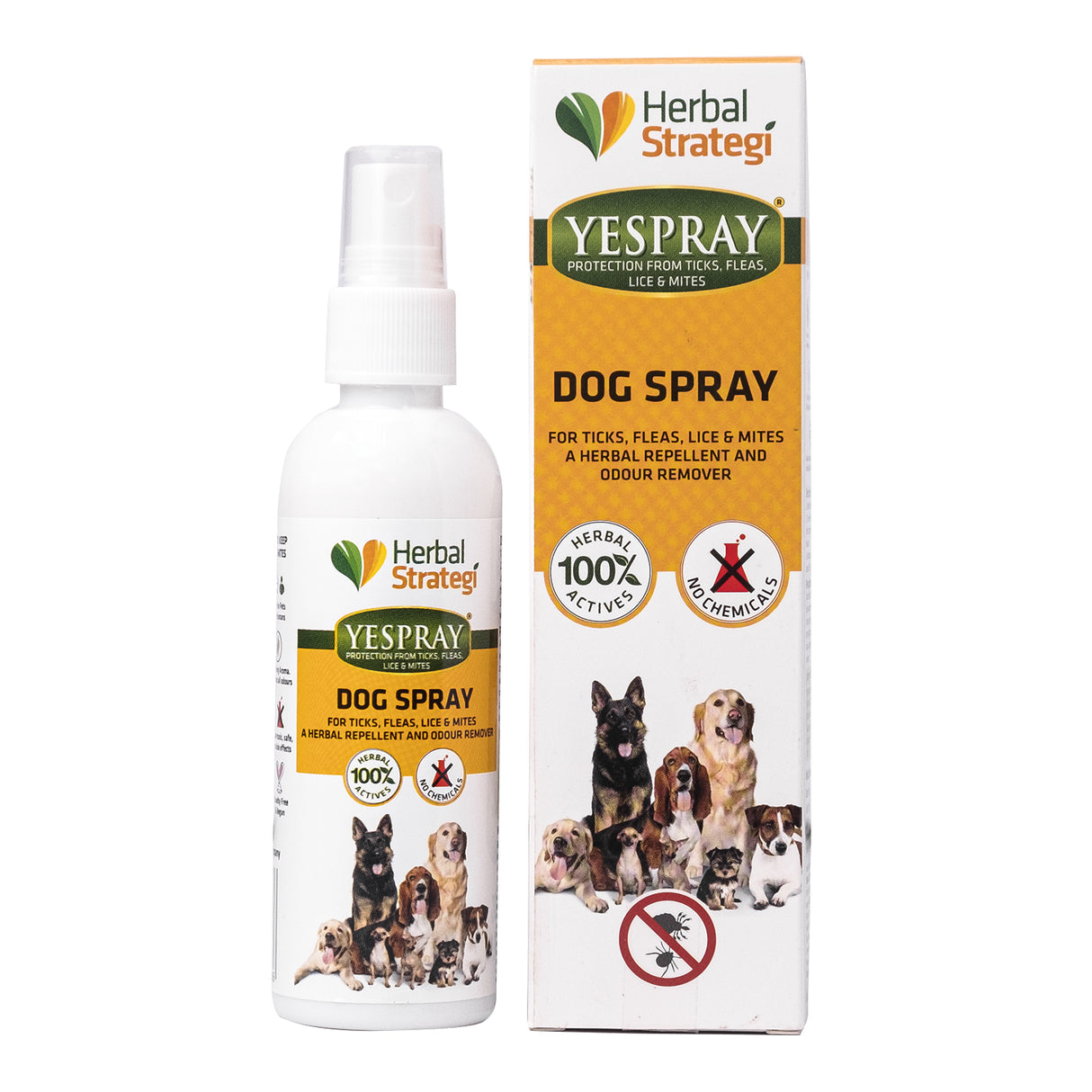 Herbal Ticks, Fleas, Lice and Mites Spray for Dogs | Product Size: 100 ml, 200 ml, 500 ml