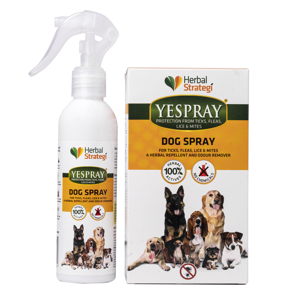 Herbal Ticks, Fleas, Lice and Mites Spray for Dogs | Product Size: 100 ml, 200 ml, 500 ml
