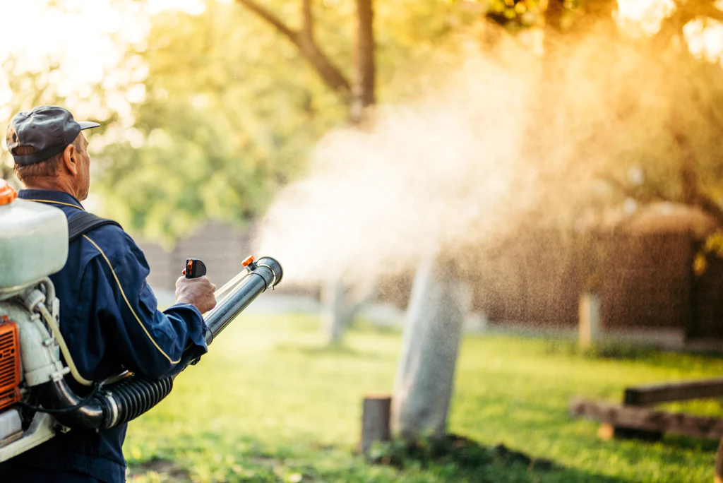 Embracing Nature's Guard Against Mosquitoes - The Herbal Way