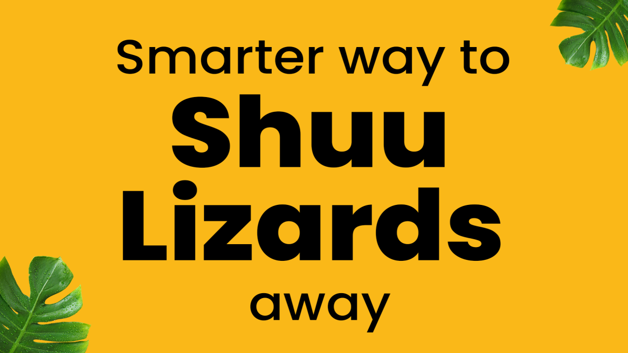 Smarter way to Shuu Lizards away - The Safe, Natural way!🦎