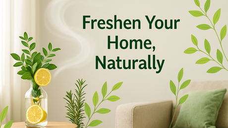 Freshness Without Chemicals: A Better Way to Refresh Your Home
