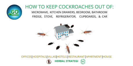 Cockroach Control Home Remedies and Herbal Repellent