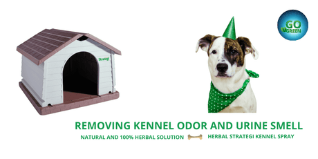 Removing Kennel Odor And Urine Smell