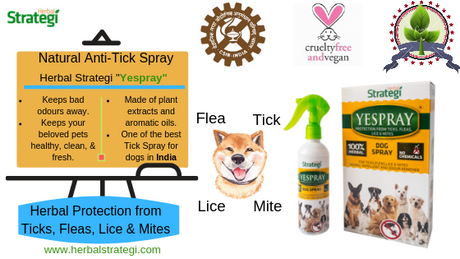 Natural methods to deal with Fleas, Ticks, Lice and Mites