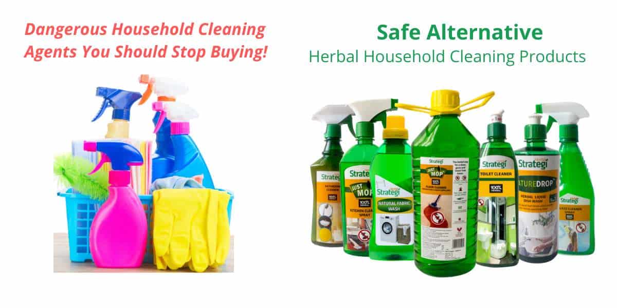 House cleaning shop agents