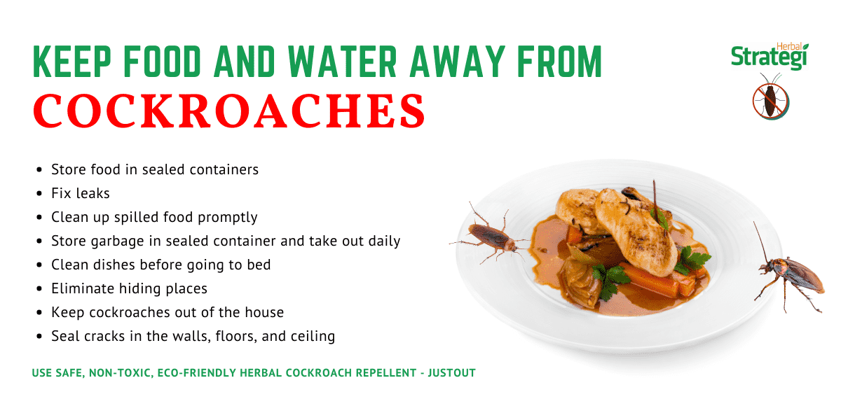 How to keep cockroaches away?