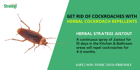 Get rid of cockroaches with Herbal Cockroach Repellents