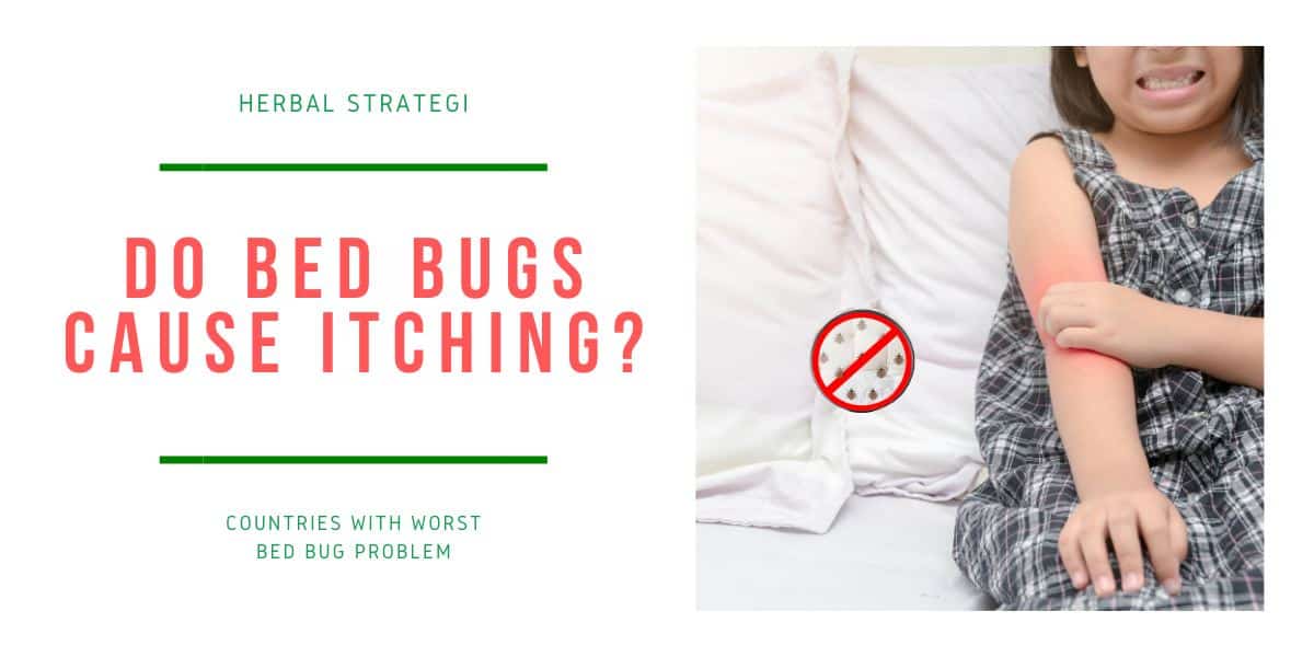 Bed Bug Control & Natural Bed Bug Treatment Products