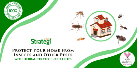 Non-toxic methods for insect control