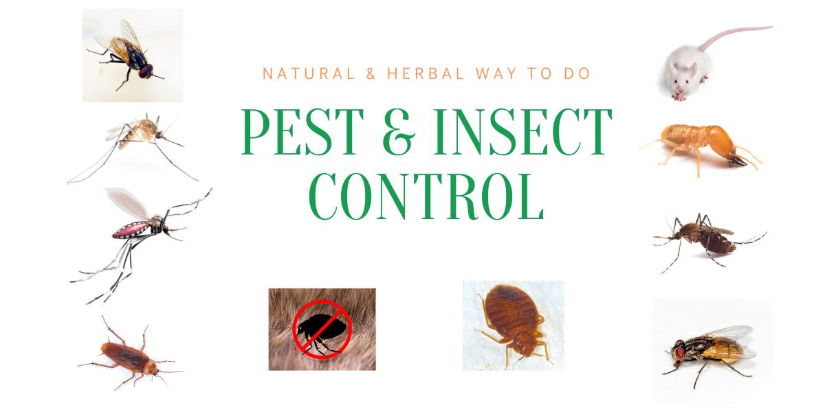 Pest & Insect Control - Resistance Management