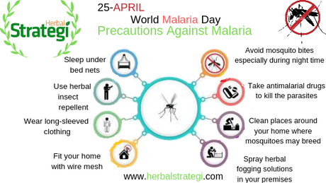 World Malaria Day 2019 - How To Prevent The Spread Of Malaria?