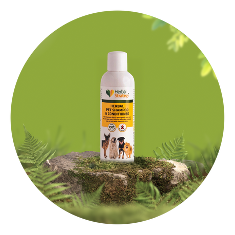 Pet Care