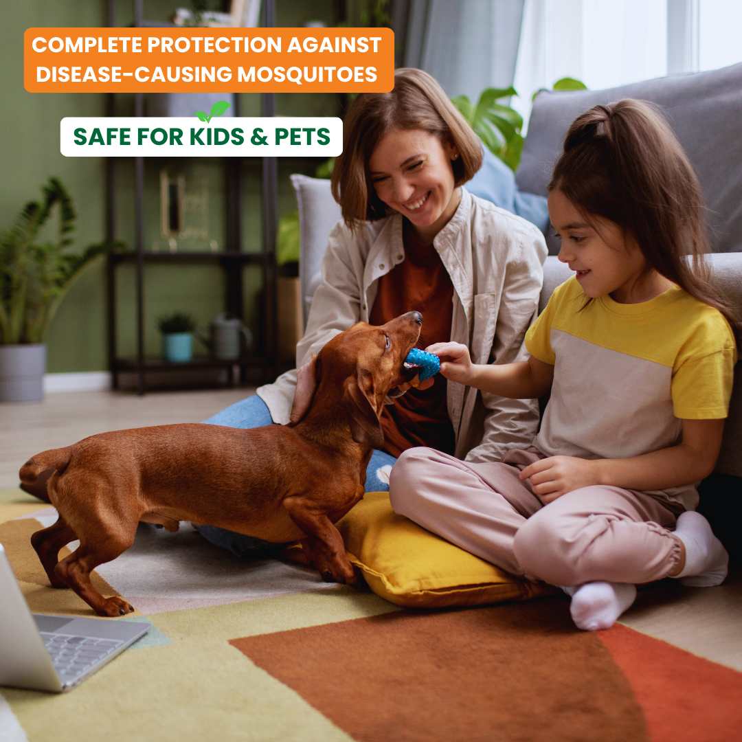 Best natural mosquito clearance repellent for dogs