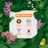 Herbal Disinfectant, Floor cleaner & Insect Repellent (Pack of 2 x 500 ml )