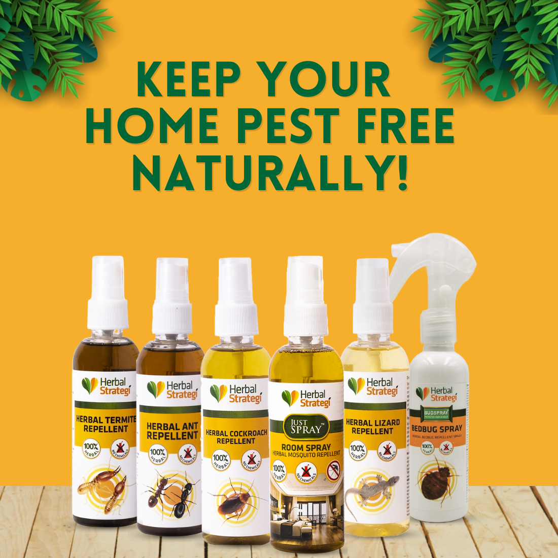 Herbal Cockroach Repellent Spray | Non - toxic | plant-based | 100% Herbal
