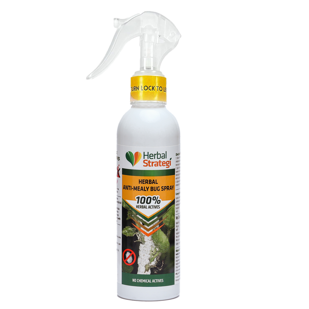 HERBAL ANTI-MEALY BUG SPRAY