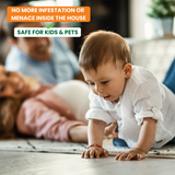 Herbal Ant Repellent Spray | Non - toxic | plant-based | 100% Herbal