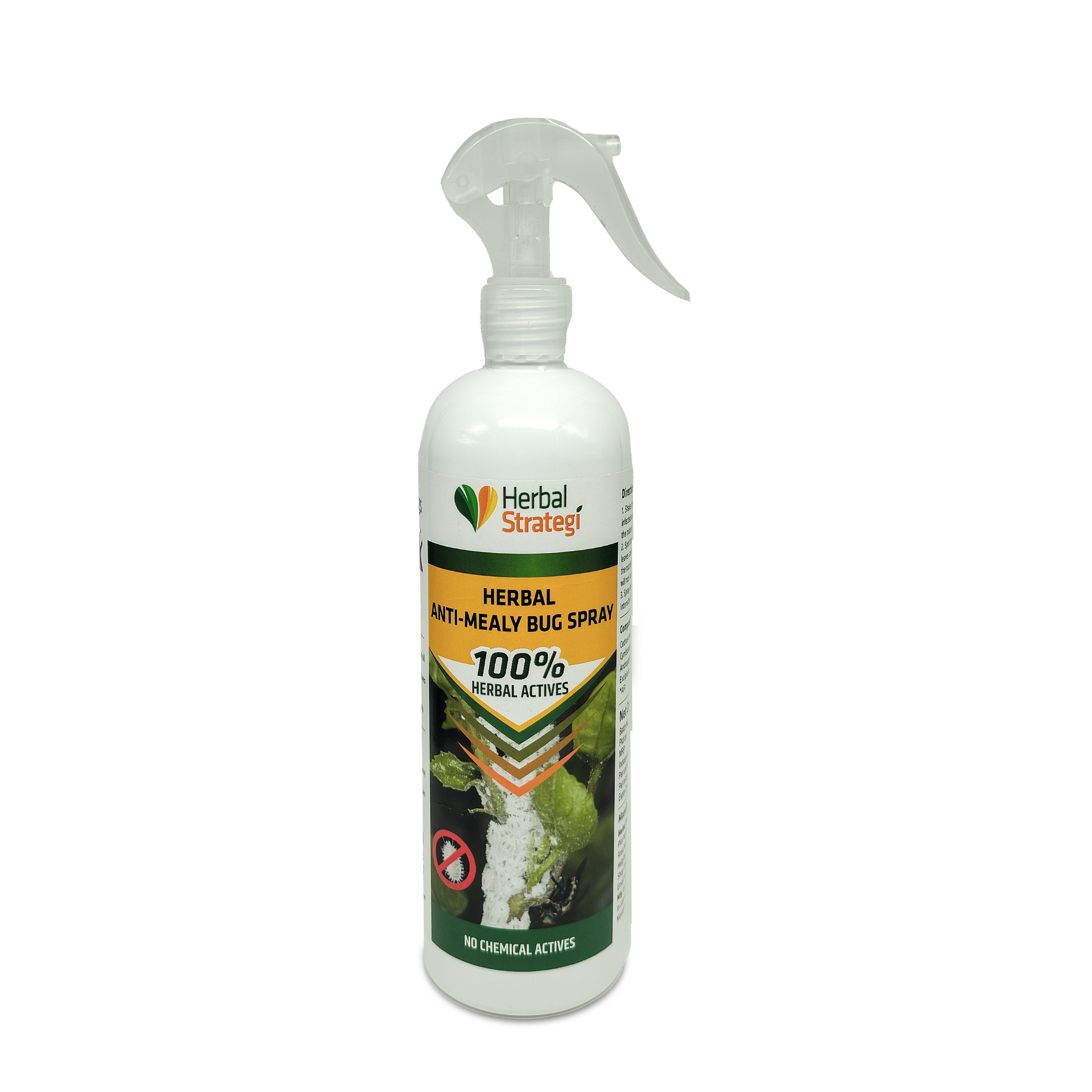mealy bug spray for succulents HERBAL ANTI-MEALY BUG SPRAY – Herbal Strategi