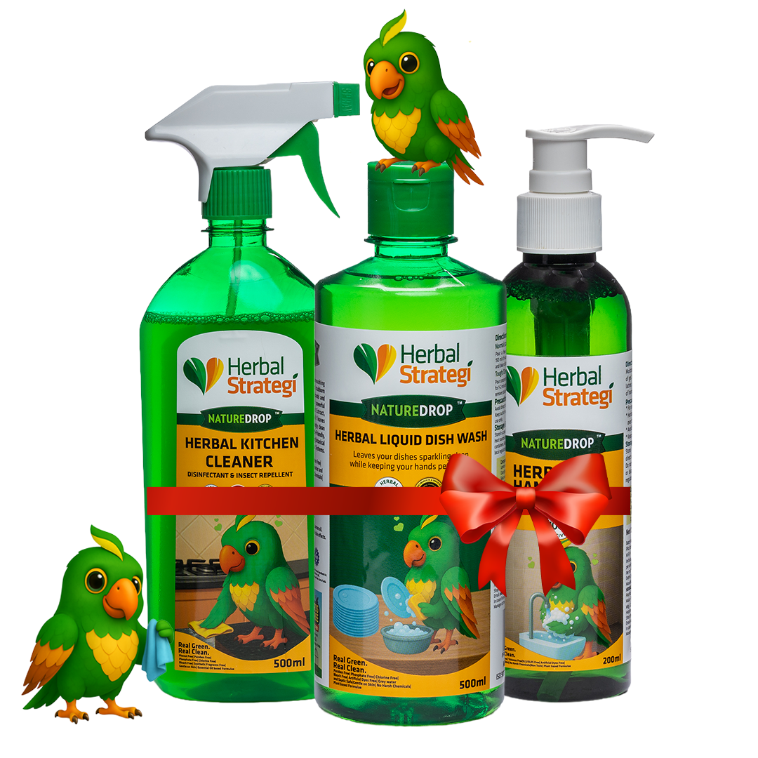 Khanewala Clean Kit (Limited Time Deal)