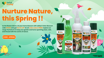 Homemade dog deterrent 2024 spray